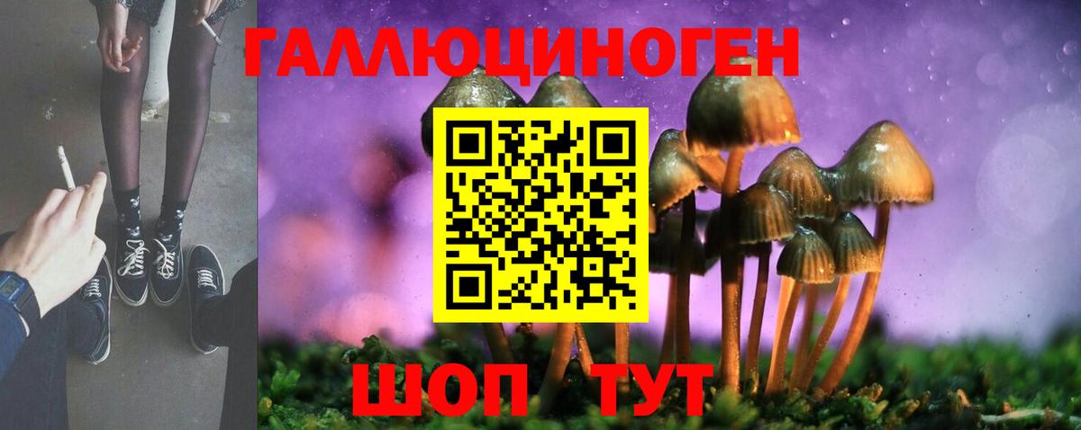 А ПВП Ивантеевка
